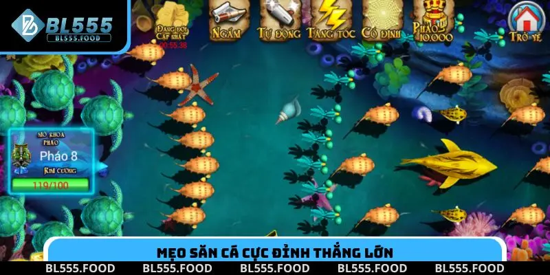 Mẹo săn cá cực đỉnh thắng lớn